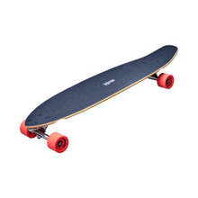 Load image into Gallery viewer, Aloiki Aquarium Pintail